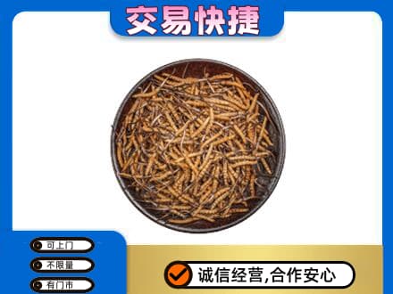 壶关县回收散虫草